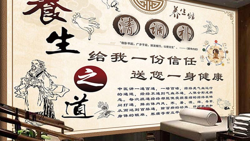 养生馆加盟扶持政策，合同条款解析**