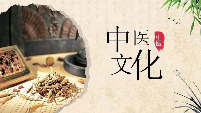 艾灸拔罐，古法养生新体验