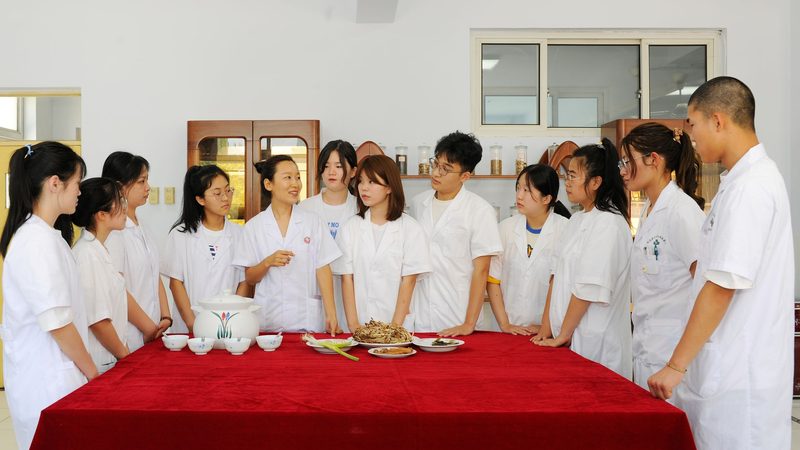 上海养生馆与理疗馆：功能与服务的差异化解析